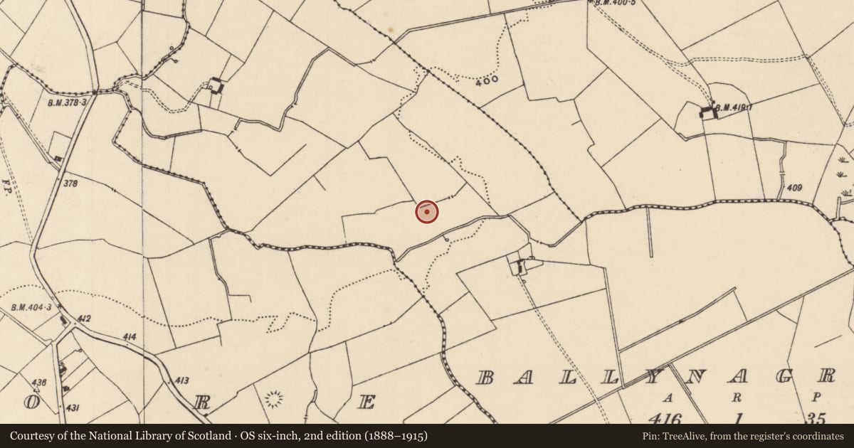 Ordnance Survey six-inch map, 2nd edition (1888–1915) covering the location of Barrow - ring-barrow, Ballynagrana (Emly Par.), County Tipperary South, with a pin at the register's coordinates