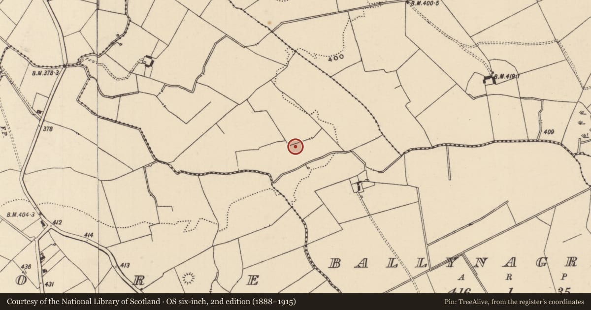 Ordnance Survey six-inch map, 2nd edition (1888–1915) covering the location of Barrow - ring-barrow, Ballynagrana (Emly Par.), County Tipperary South, with a pin at the register's coordinates