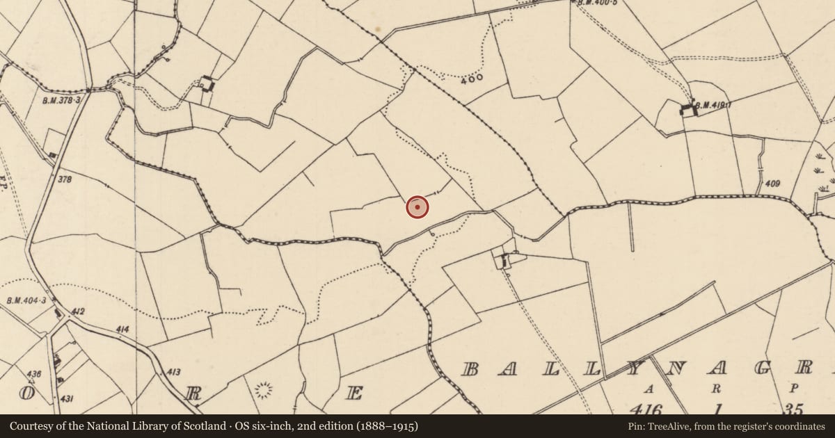 Ordnance Survey six-inch map, 2nd edition (1888–1915) covering the location of Barrow - ditch barrow, Ballynagrana (Emly Par.), County Tipperary South, with a pin at the register's coordinates
