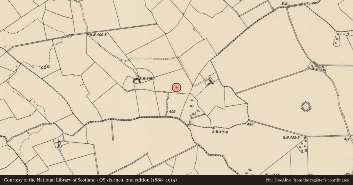 Ordnance Survey six-inch map, 2nd edition (1888–1915) covering the location of Barrow - ditch barrow, Lissobihane, County Tipperary South, with a pin at the register's coordinates