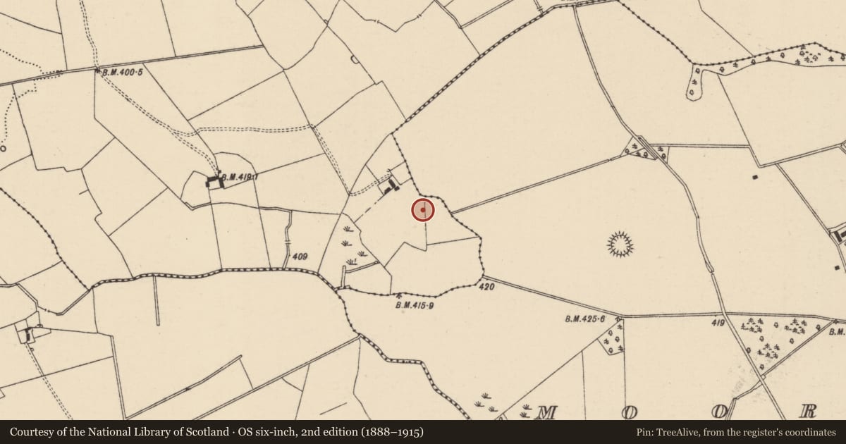 Ordnance Survey six-inch map, 2nd edition (1888–1915) covering the location of Ring-ditch, Lissobihane, County Tipperary South, with a pin at the register's coordinates