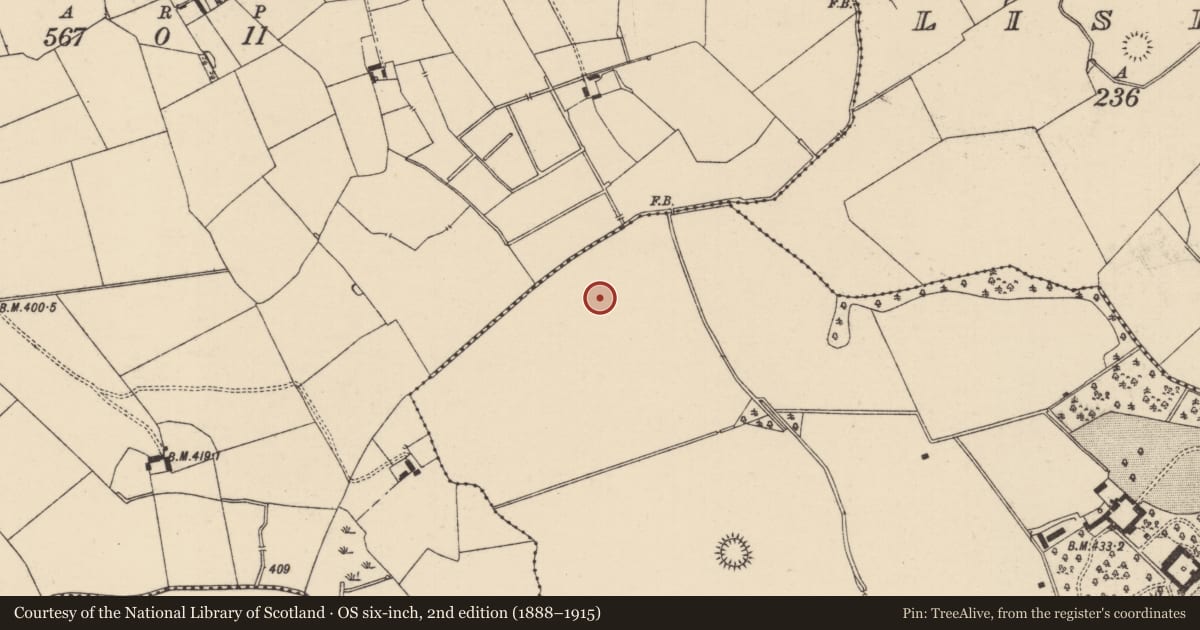 Ordnance Survey six-inch map, 2nd edition (1888–1915) covering the location of Barrow - ditch barrow, Mooresfort, County Tipperary South, with a pin at the register's coordinates
