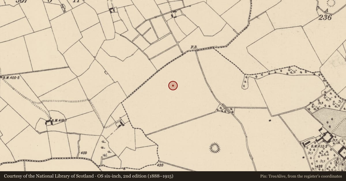 Ordnance Survey six-inch map, 2nd edition (1888–1915) covering the location of Barrow - ditch barrow, Mooresfort, County Tipperary South, with a pin at the register's coordinates