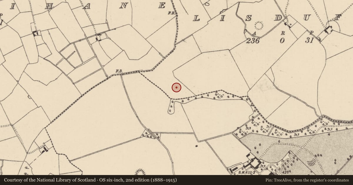 Ordnance Survey six-inch map, 2nd edition (1888–1915) covering the location of Barrow - ditch barrow, Lisduff (Lattin Par.), County Tipperary South, with a pin at the register's coordinates