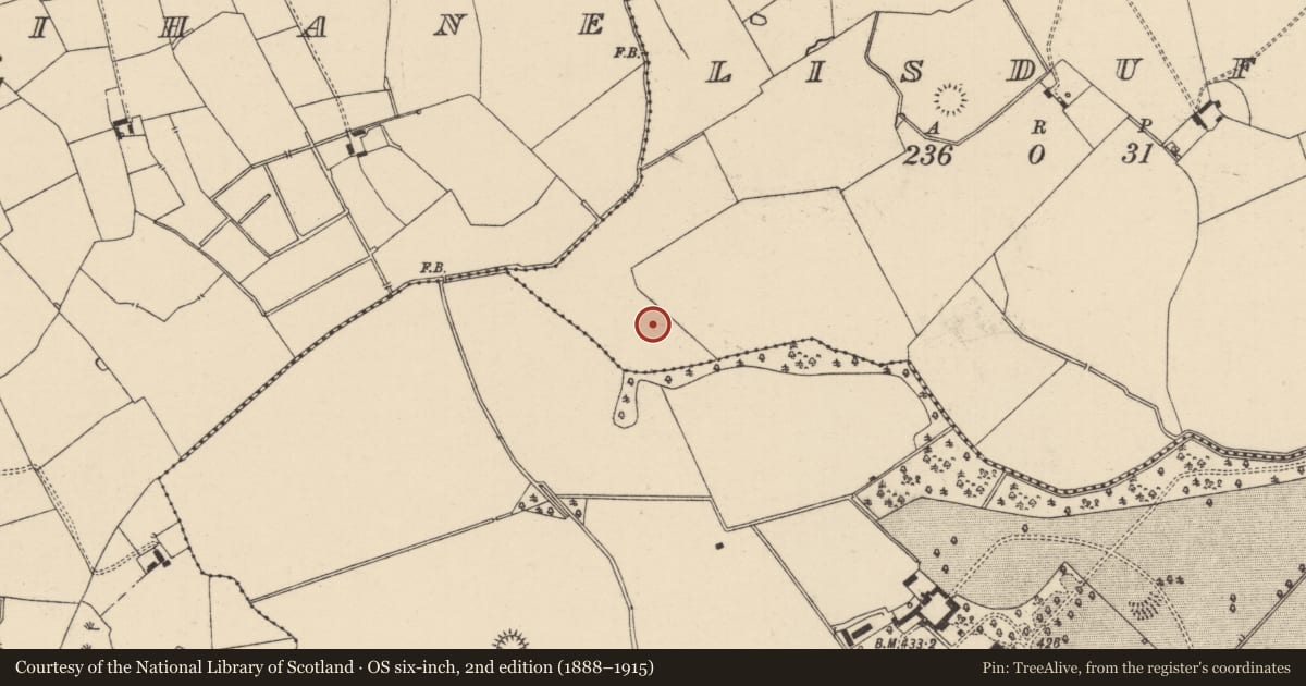 Ordnance Survey six-inch map, 2nd edition (1888–1915) covering the location of Barrow - ditch barrow, Lisduff (Lattin Par.), County Tipperary South, with a pin at the register's coordinates