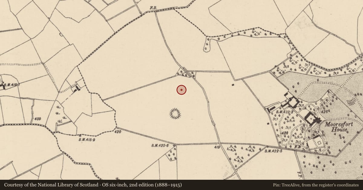 Ordnance Survey six-inch map, 2nd edition (1888–1915) covering the location of Barrow - ring-barrow, Mooresfort, County Tipperary South, with a pin at the register's coordinates
