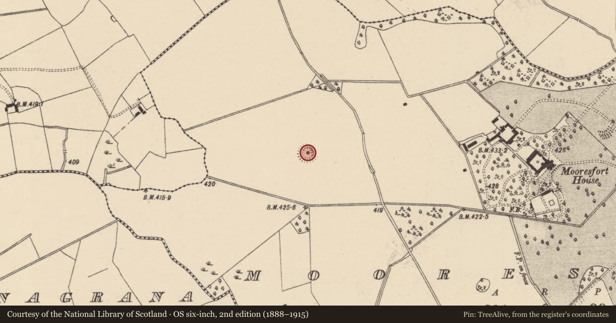 Ordnance Survey six-inch map, 2nd edition (1888–1915) covering the location of Barrow - unclassified, Mooresfort, County Tipperary South, with a pin at the register's coordinates