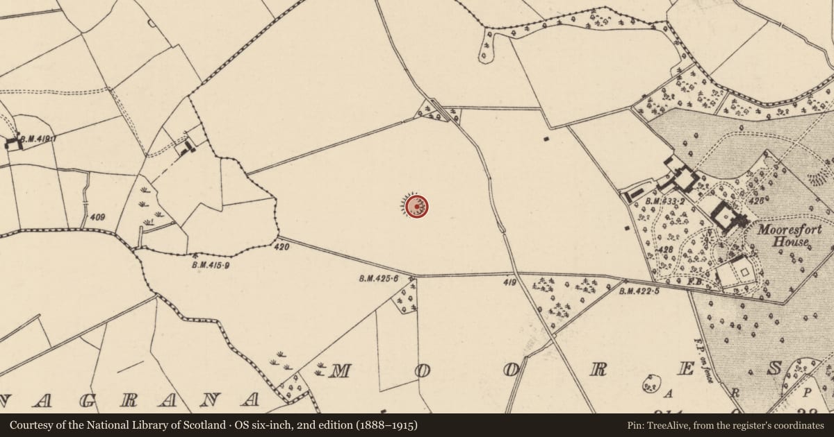 Ordnance Survey six-inch map, 2nd edition (1888–1915) covering the location of Barrow - ditch barrow, Mooresfort, County Tipperary South, with a pin at the register's coordinates
