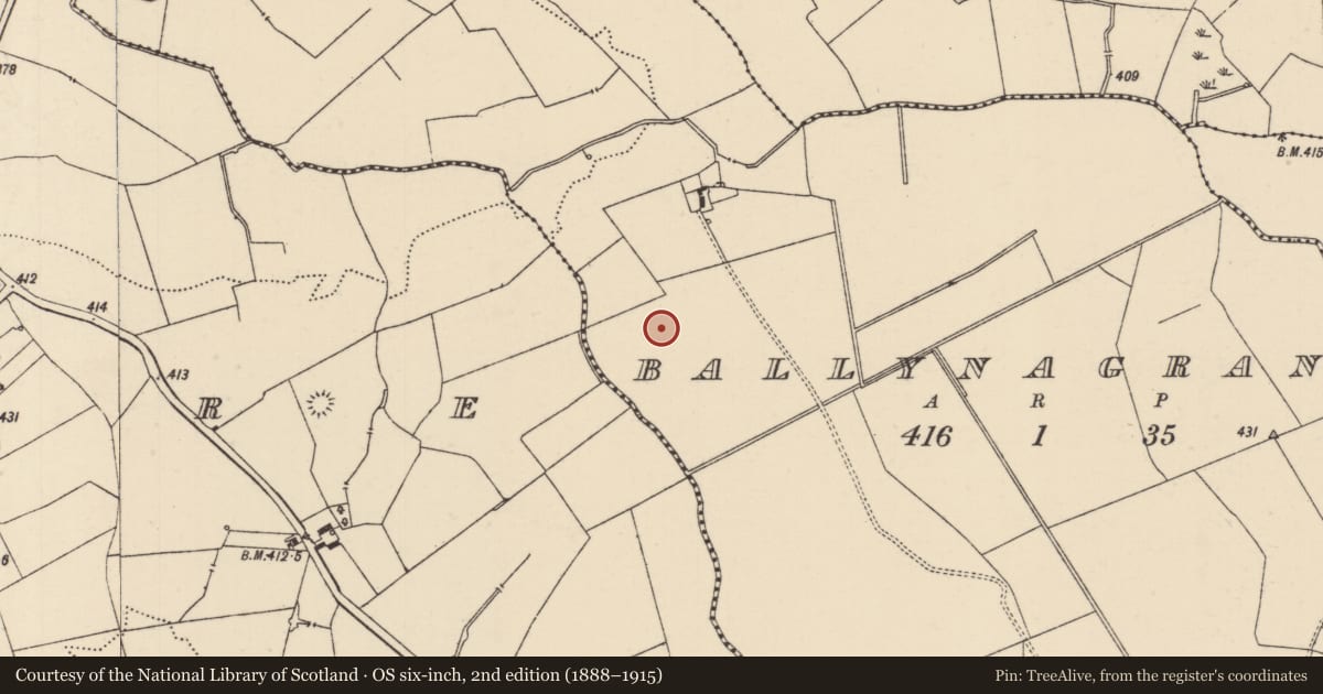 Ordnance Survey six-inch map, 2nd edition (1888–1915) covering the location of Ring-ditch, Ballynagrana (Emly Par.), County Tipperary South, with a pin at the register's coordinates