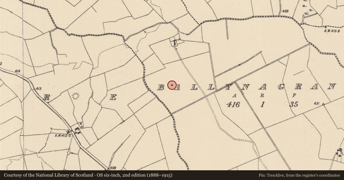 Ordnance Survey six-inch map, 2nd edition (1888–1915) covering the location of Ring-ditch, Ballynagrana (Emly Par.), County Tipperary South, with a pin at the register's coordinates