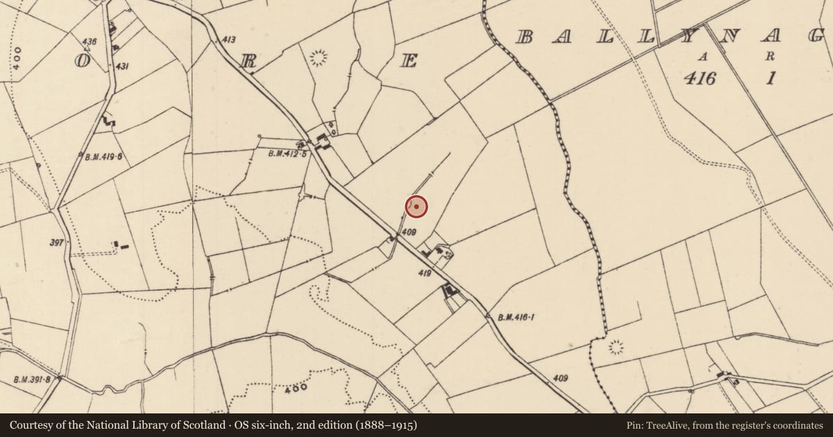 Ordnance Survey six-inch map, 2nd edition (1888–1915) covering the location of Enclosure, Moanmore (Emly Par.), County Tipperary South, with a pin at the register's coordinates