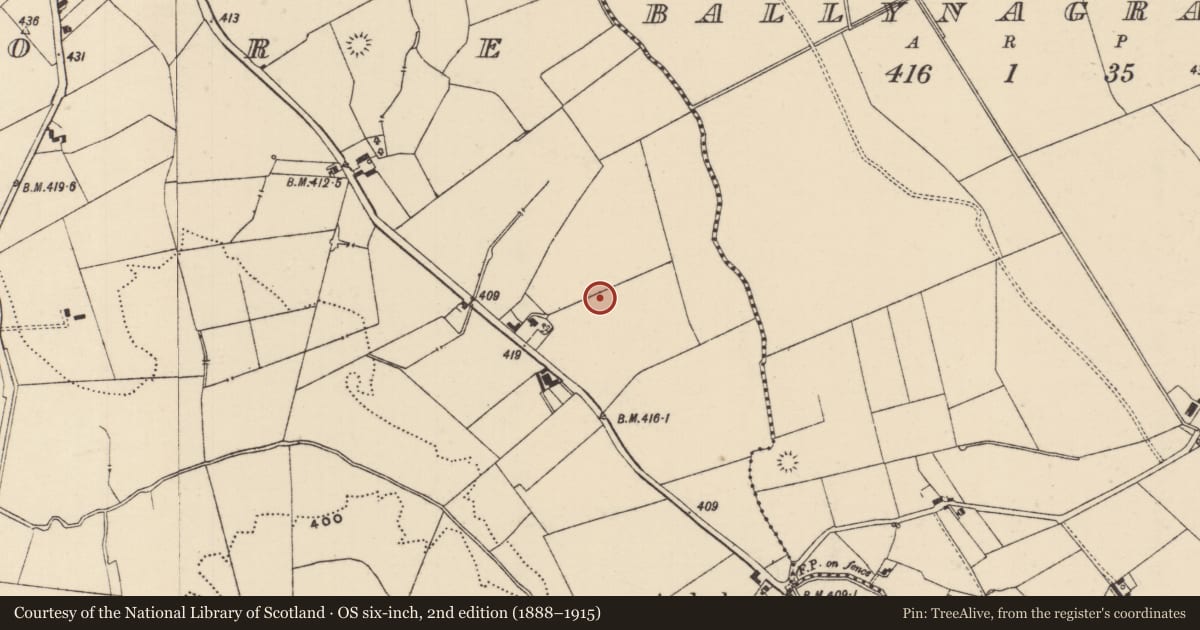 Ordnance Survey six-inch map, 2nd edition (1888–1915) covering the location of Ringfort - rath, Moanmore (Emly Par.), County Tipperary South, with a pin at the register's coordinates