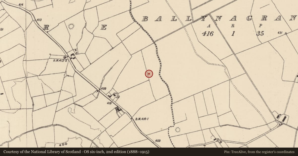 Ordnance Survey six-inch map, 2nd edition (1888–1915) covering the location of Barrow - ring-barrow, Moanmore (Emly Par.), County Tipperary South, with a pin at the register's coordinates