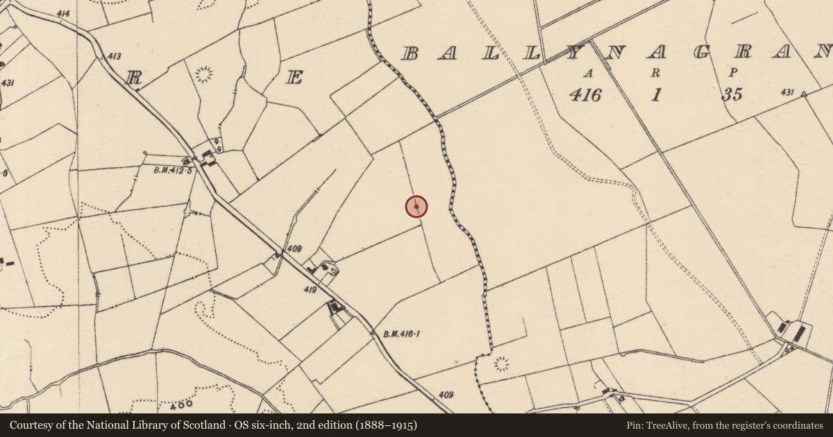 Ordnance Survey six-inch map, 2nd edition (1888–1915) covering the location of Barrow - ring-barrow, Moanmore (Emly Par.), County Tipperary South, with a pin at the register's coordinates