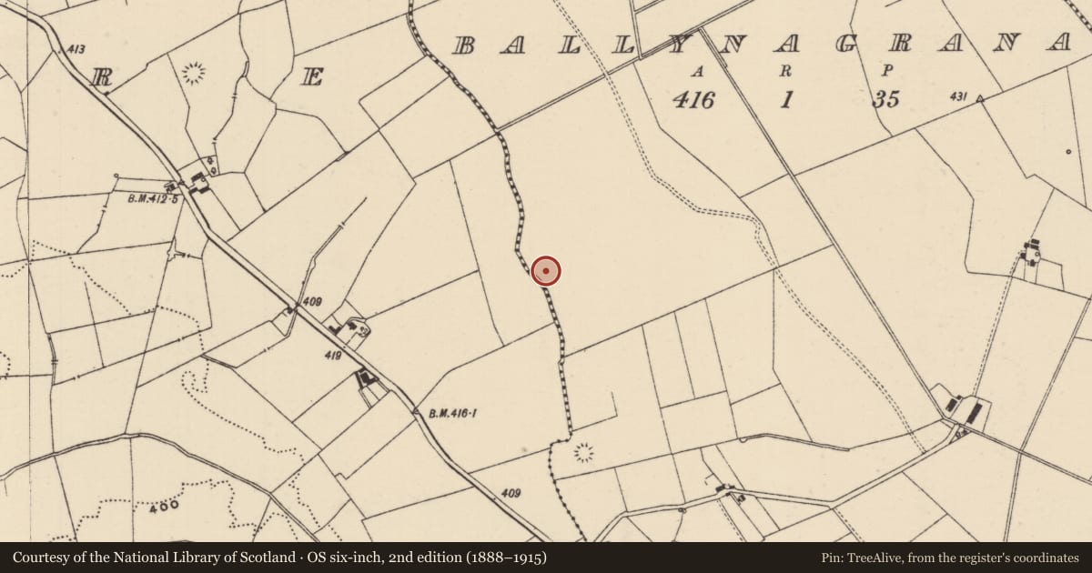 Ordnance Survey six-inch map, 2nd edition (1888–1915) covering the location of Ring-ditch, Ballynagrana (Emly Par.), County Tipperary South, with a pin at the register's coordinates