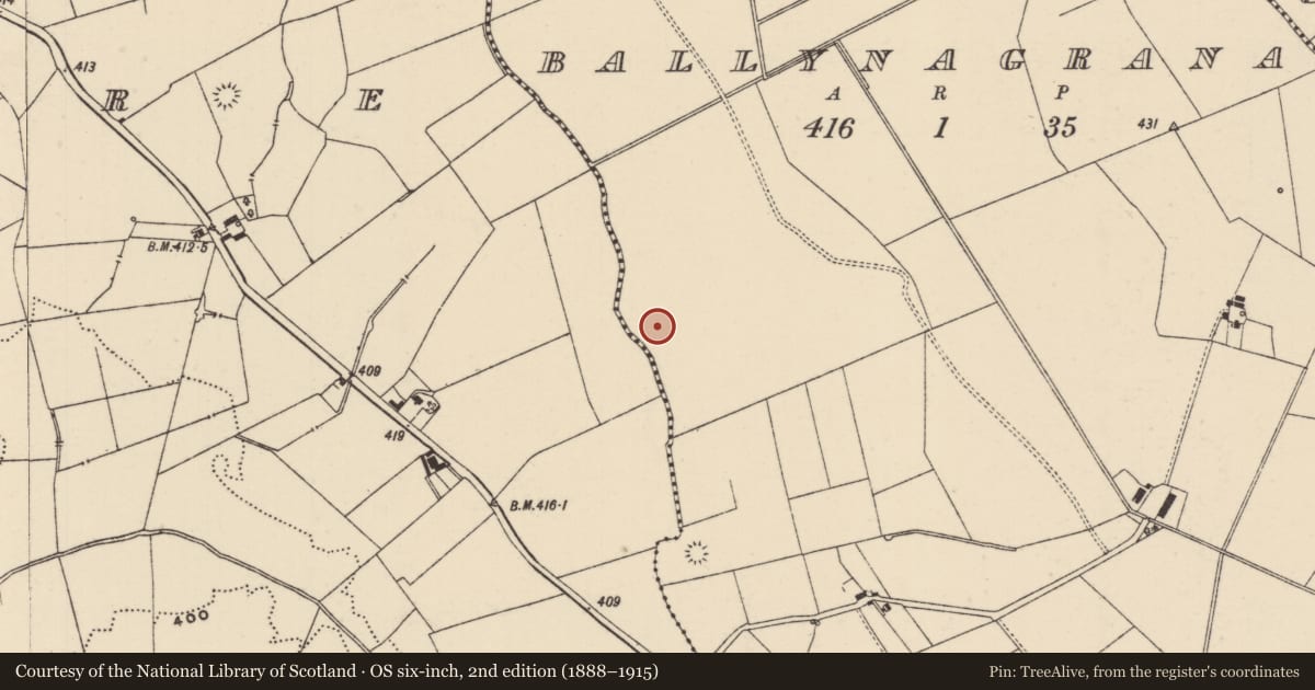 Ordnance Survey six-inch map, 2nd edition (1888–1915) covering the location of Ring-ditch, Ballynagrana (Emly Par.), County Tipperary South, with a pin at the register's coordinates