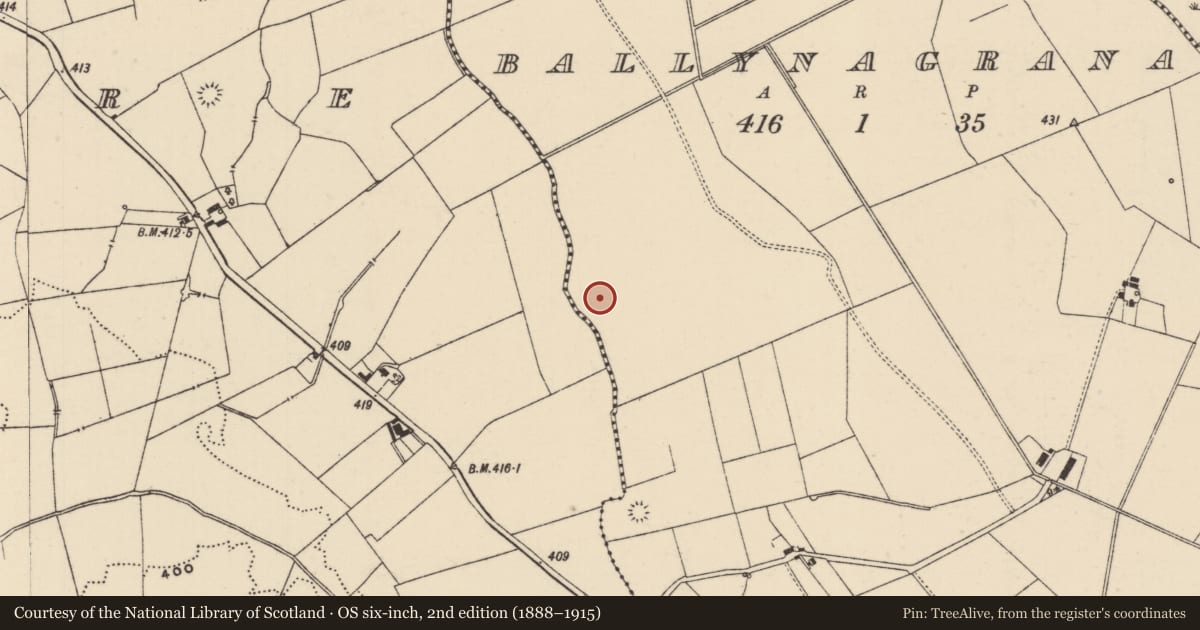 Ordnance Survey six-inch map, 2nd edition (1888–1915) covering the location of Ring-ditch, Ballynagrana (Emly Par.), County Tipperary South, with a pin at the register's coordinates