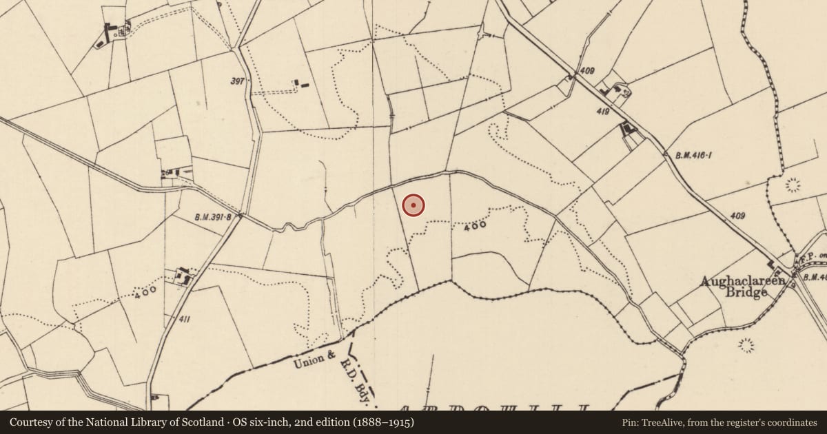 Ordnance Survey six-inch map, 2nd edition (1888–1915) covering the location of Enclosure, Moanmore (Emly Par.), County Tipperary South, with a pin at the register's coordinates