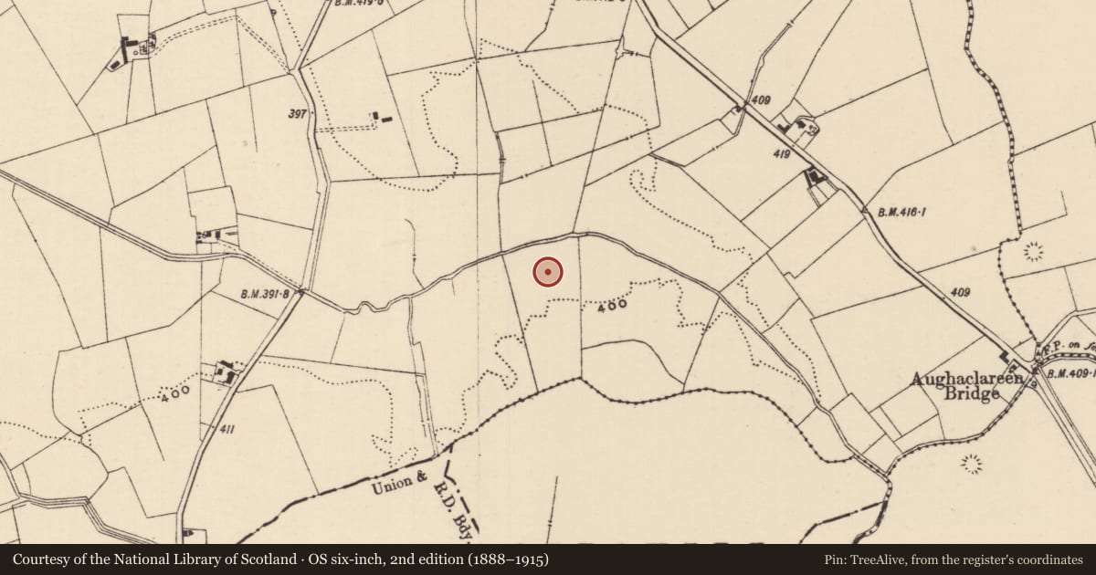 Ordnance Survey six-inch map, 2nd edition (1888–1915) covering the location of Enclosure, Moanmore (Emly Par.), County Tipperary South, with a pin at the register's coordinates