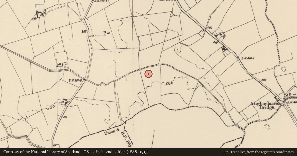 Ordnance Survey six-inch map, 2nd edition (1888–1915) covering the location of Barrow - unclassified, Moanmore (Emly Par.), County Tipperary South, with a pin at the register's coordinates