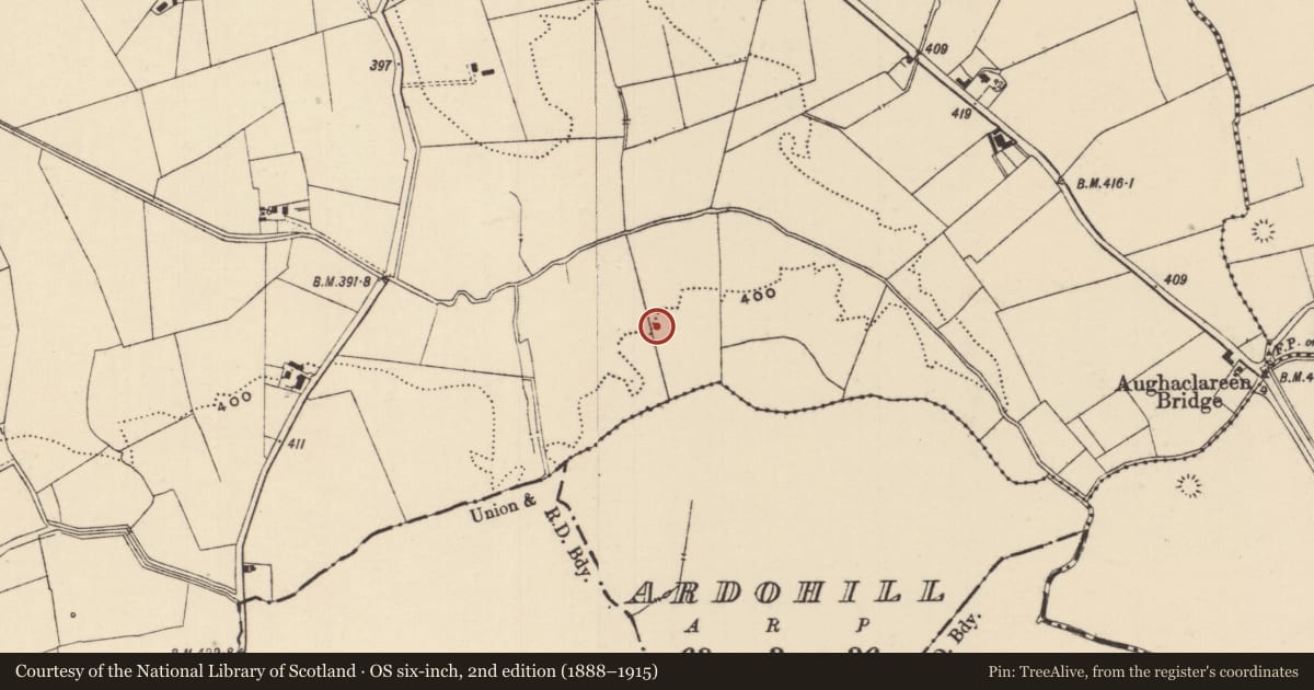 Ordnance Survey six-inch map, 2nd edition (1888–1915) covering the location of Barrow - ditch barrow, Moanmore (Emly Par.), County Tipperary South, with a pin at the register's coordinates