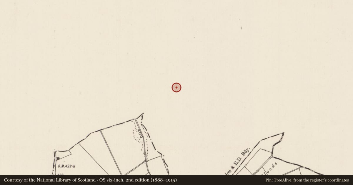 Ordnance Survey six-inch map, 2nd edition (1888–1915) covering the location of Barrow - unclassified, Moanmore (Emly Par.), County Tipperary South, with a pin at the register's coordinates