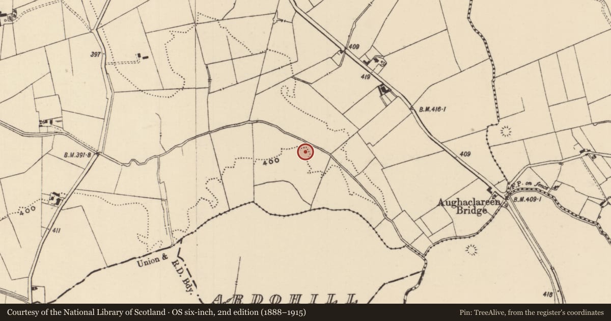 Ordnance Survey six-inch map, 2nd edition (1888–1915) covering the location of Enclosure, Moanmore (Emly Par.), County Tipperary South, with a pin at the register's coordinates