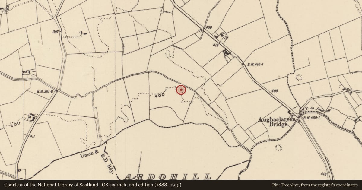 Ordnance Survey six-inch map, 2nd edition (1888–1915) covering the location of Ring-ditch, Moanmore (Emly Par.), County Tipperary South, with a pin at the register's coordinates