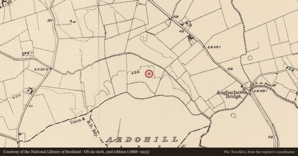 Ordnance Survey six-inch map, 2nd edition (1888–1915) covering the location of Ring-ditch, Moanmore (Emly Par.), County Tipperary South, with a pin at the register's coordinates