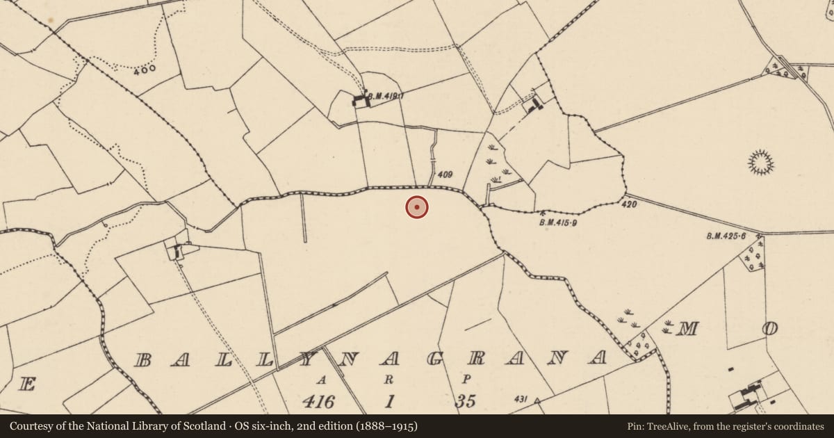 Ordnance Survey six-inch map, 2nd edition (1888–1915) covering the location of Ring-ditch, Ballynagrana (Emly Par.), County Tipperary South, with a pin at the register's coordinates