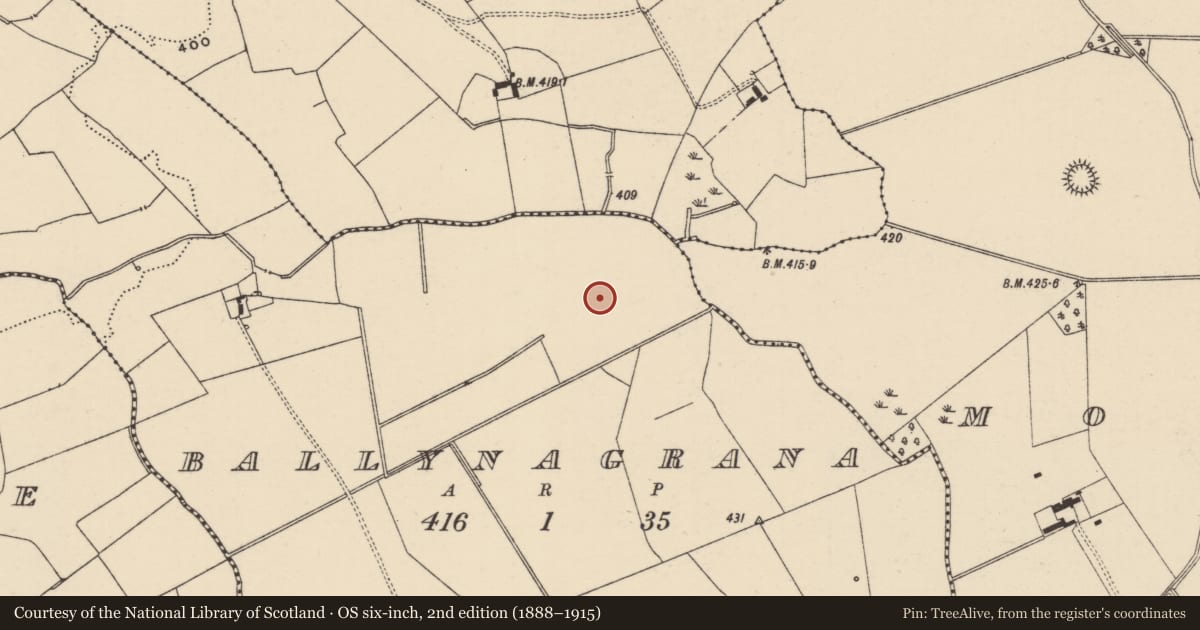 Ordnance Survey six-inch map, 2nd edition (1888–1915) covering the location of Ring-ditch, Ballynagrana (Emly Par.), County Tipperary South, with a pin at the register's coordinates