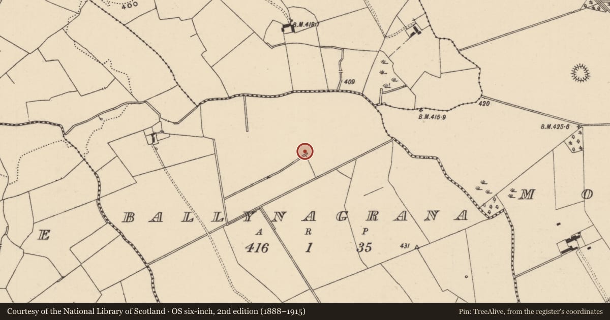 Ordnance Survey six-inch map, 2nd edition (1888–1915) covering the location of Ring-ditch, Ballynagrana (Emly Par.), County Tipperary South, with a pin at the register's coordinates
