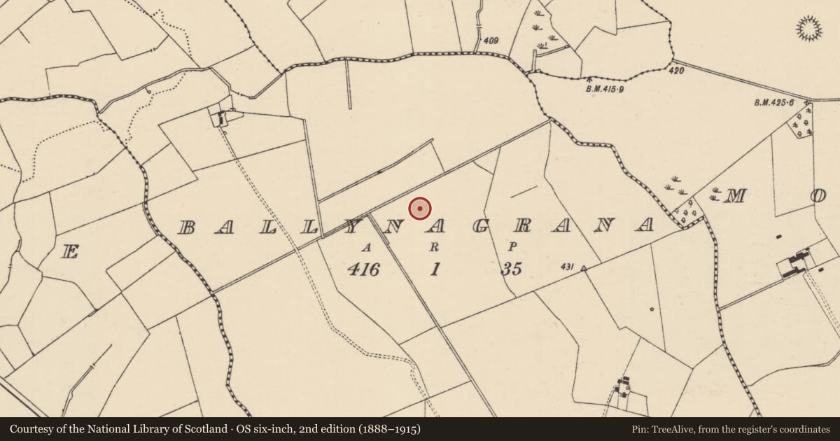 Ordnance Survey six-inch map, 2nd edition (1888–1915) covering the location of Ring-ditch, Ballynagrana (Emly Par.), County Tipperary South, with a pin at the register's coordinates