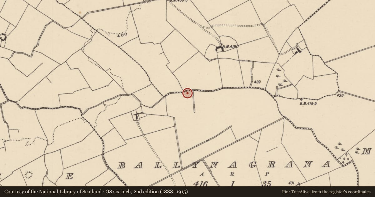 Ordnance Survey six-inch map, 2nd edition (1888–1915) covering the location of Barrow - unclassified, Ballynagrana (Emly Par.), County Tipperary South, with a pin at the register's coordinates