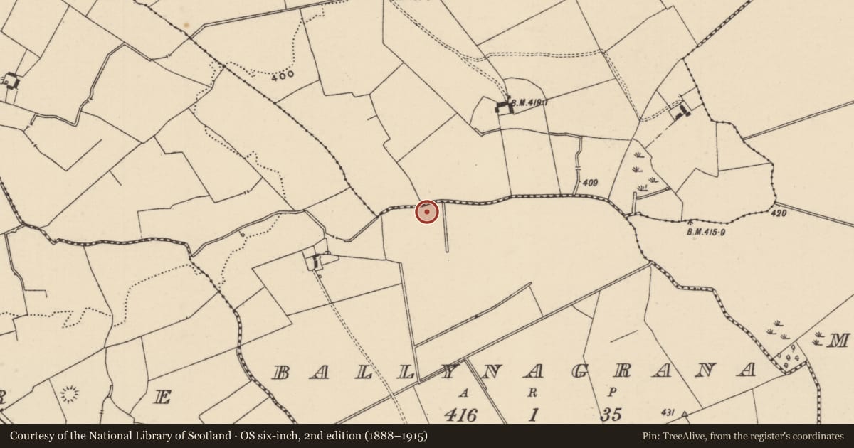 Ordnance Survey six-inch map, 2nd edition (1888–1915) covering the location of Barrow - ditch barrow, Ballynagrana (Emly Par.), County Tipperary South, with a pin at the register's coordinates