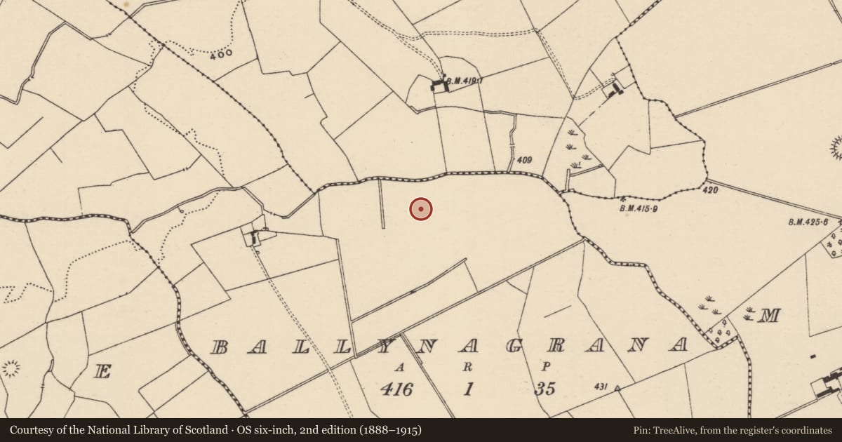 Ordnance Survey six-inch map, 2nd edition (1888–1915) covering the location of Barrow - ring-barrow, Ballynagrana (Emly Par.), County Tipperary South, with a pin at the register's coordinates