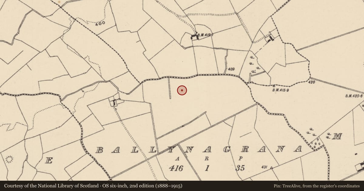 Ordnance Survey six-inch map, 2nd edition (1888–1915) covering the location of Ring-ditch, Ballynagrana (Emly Par.), County Tipperary South, with a pin at the register's coordinates
