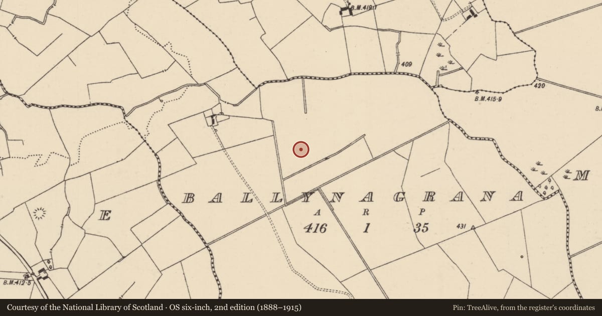Ordnance Survey six-inch map, 2nd edition (1888–1915) covering the location of Ring-ditch, Ballynagrana (Emly Par.), County Tipperary South, with a pin at the register's coordinates