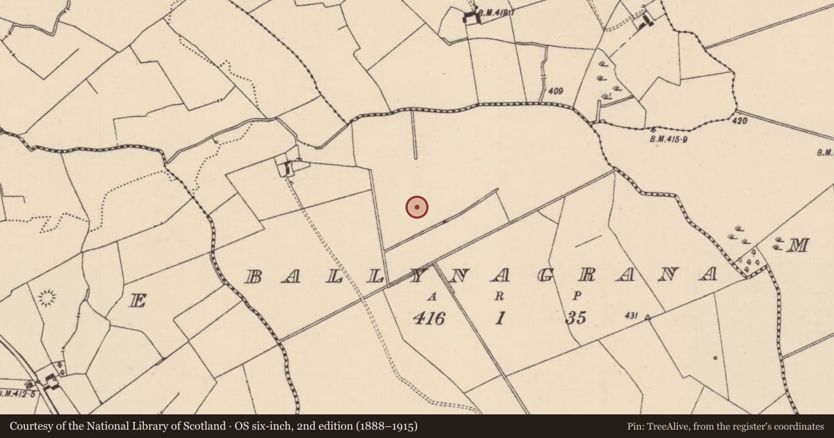 Ordnance Survey six-inch map, 2nd edition (1888–1915) covering the location of Ring-ditch, Ballynagrana (Emly Par.), County Tipperary South, with a pin at the register's coordinates