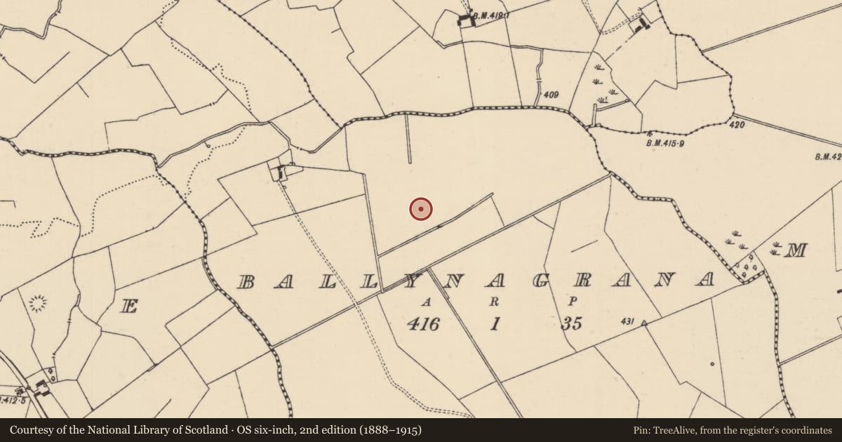 Ordnance Survey six-inch map, 2nd edition (1888–1915) covering the location of Ring-ditch, Ballynagrana (Emly Par.), County Tipperary South, with a pin at the register's coordinates