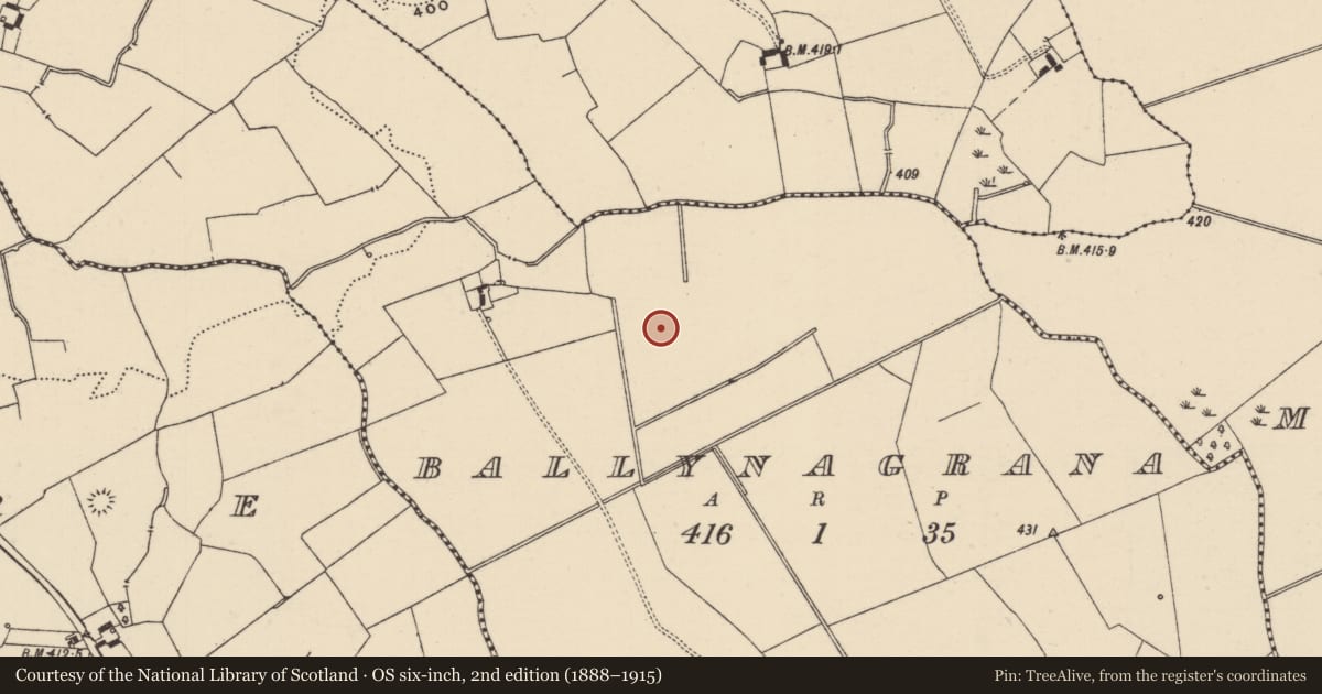 Ordnance Survey six-inch map, 2nd edition (1888–1915) covering the location of Ring-ditch, Ballynagrana (Emly Par.), County Tipperary South, with a pin at the register's coordinates