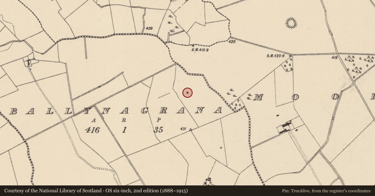 Ordnance Survey six-inch map, 2nd edition (1888–1915) covering the location of Barrow - ditch barrow, Ballynagrana (Emly Par.), County Tipperary South, with a pin at the register's coordinates