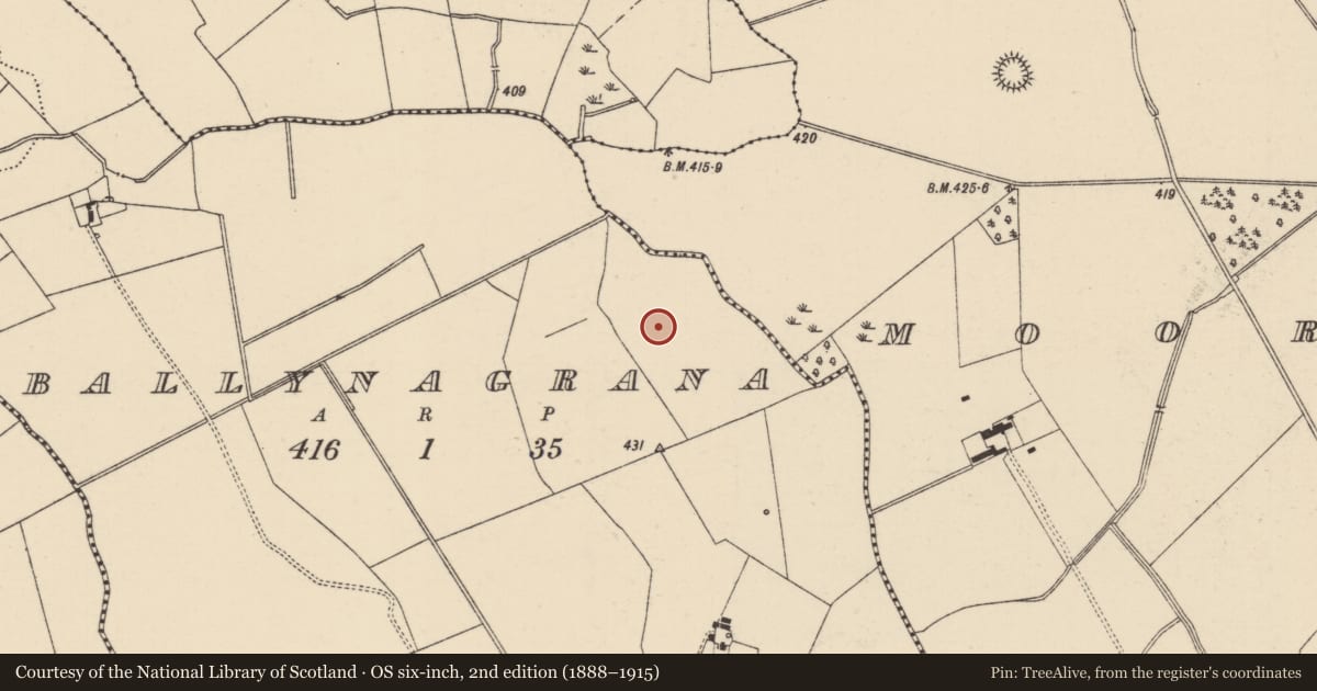 Ordnance Survey six-inch map, 2nd edition (1888–1915) covering the location of Barrow - ring-barrow, Ballynagrana (Emly Par.), County Tipperary South, with a pin at the register's coordinates