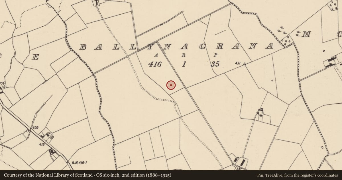 Ordnance Survey six-inch map, 2nd edition (1888–1915) covering the location of Barrow - ring-barrow, Ballynagrana (Emly Par.), County Tipperary South, with a pin at the register's coordinates