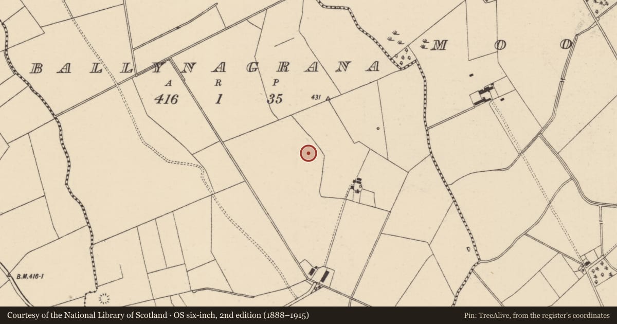 Ordnance Survey six-inch map, 2nd edition (1888–1915) covering the location of Barrow - ditch barrow, Ballynagrana (Emly Par.), County Tipperary South, with a pin at the register's coordinates