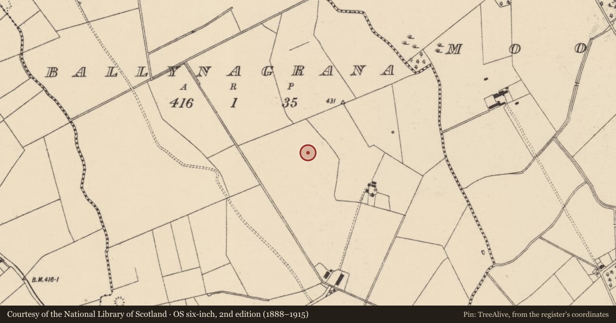 Ordnance Survey six-inch map, 2nd edition (1888–1915) covering the location of Barrow - ditch barrow, Ballynagrana (Emly Par.), County Tipperary South, with a pin at the register's coordinates
