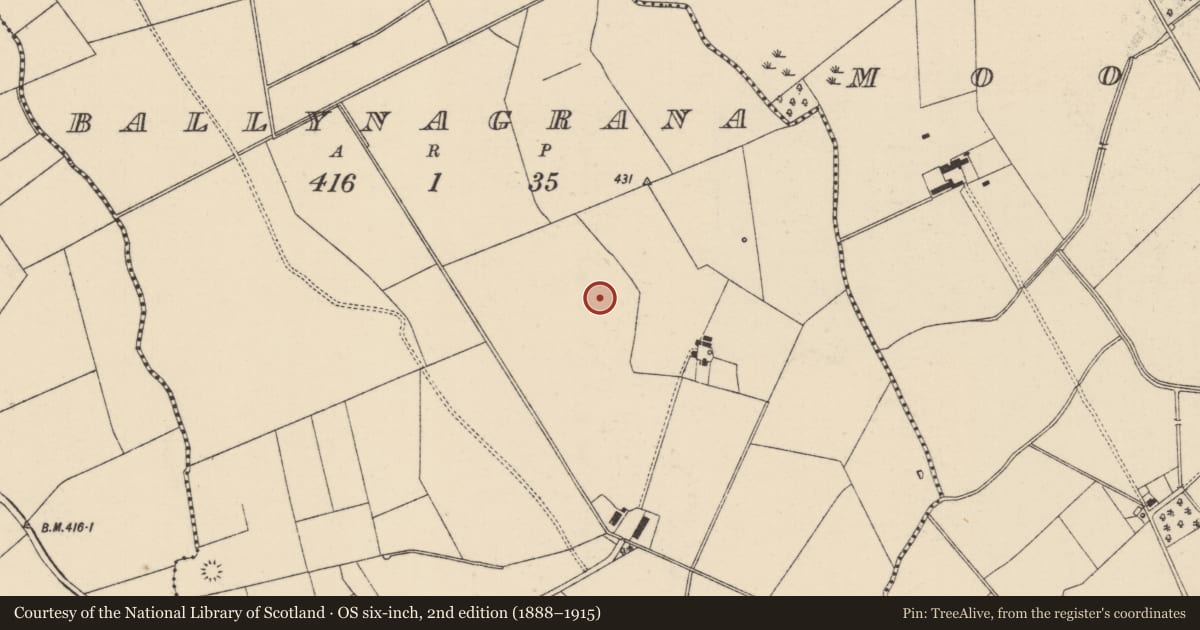 Ordnance Survey six-inch map, 2nd edition (1888–1915) covering the location of Barrow - ditch barrow, Ballynagrana (Emly Par.), County Tipperary South, with a pin at the register's coordinates