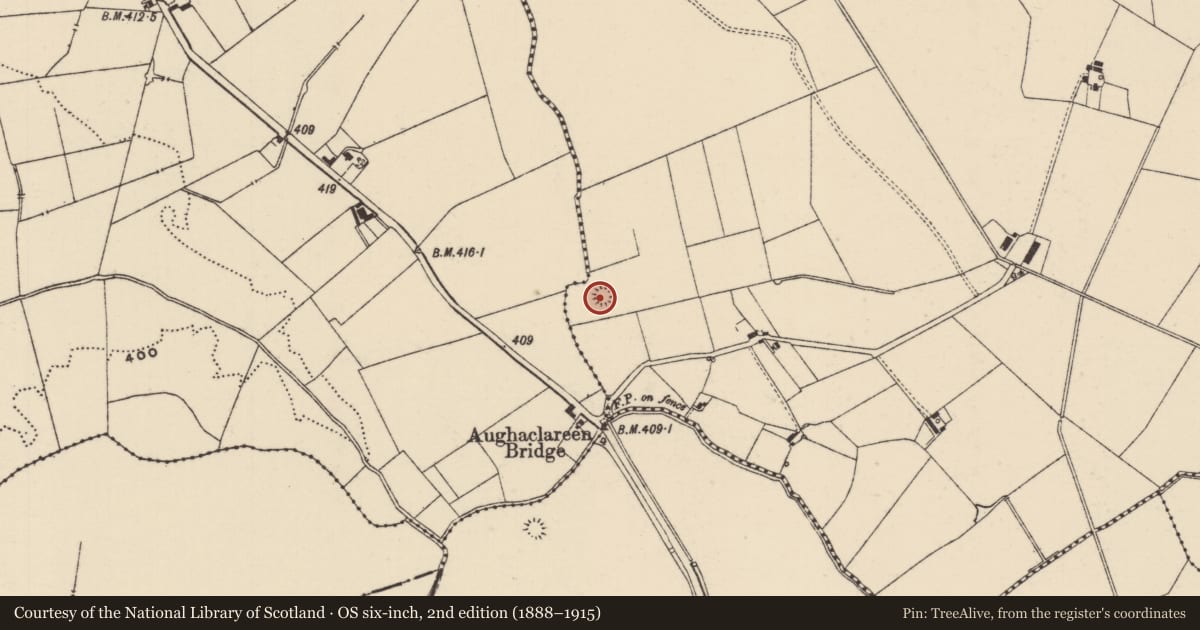 Ordnance Survey six-inch map, 2nd edition (1888–1915) covering the location of Ringfort - rath, Ballynagrana (Emly Par.), County Tipperary South, with a pin at the register's coordinates