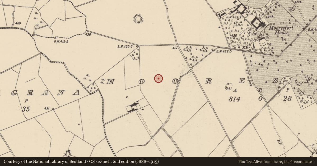 Ordnance Survey six-inch map, 2nd edition (1888–1915) covering the location of Barrow - ditch barrow, Mooresfort, County Tipperary South, with a pin at the register's coordinates