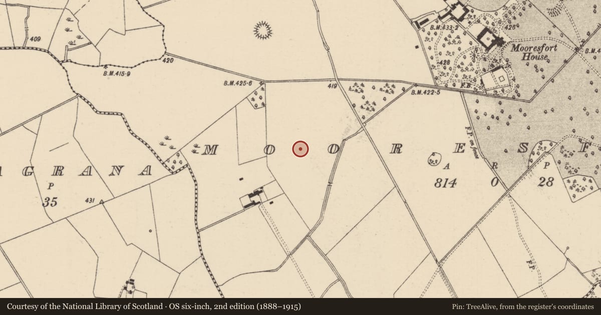 Ordnance Survey six-inch map, 2nd edition (1888–1915) covering the location of Barrow - ditch barrow, Mooresfort, County Tipperary South, with a pin at the register's coordinates